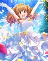 CG-Kirari-SR-11+.jpg