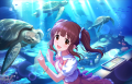 CGSS-Chieri-SR-4.png