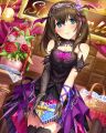 CG-Fumika-SR-3+.jpg