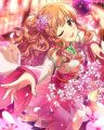 CG-Kirari-SR-15+.jpg