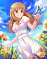 CG-Kirari-SR-6.jpg