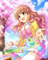 CG-Kirari-SR-15.jpg