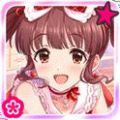 CGSS-Chieri-sicon-15.jpg