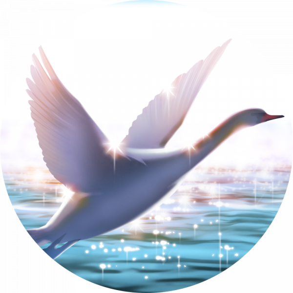 文件:ChainChrIcon 00091.png