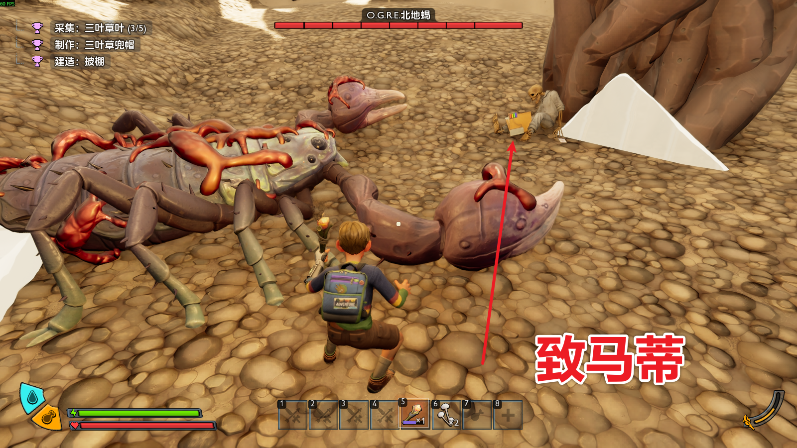 致马蒂 图解.png