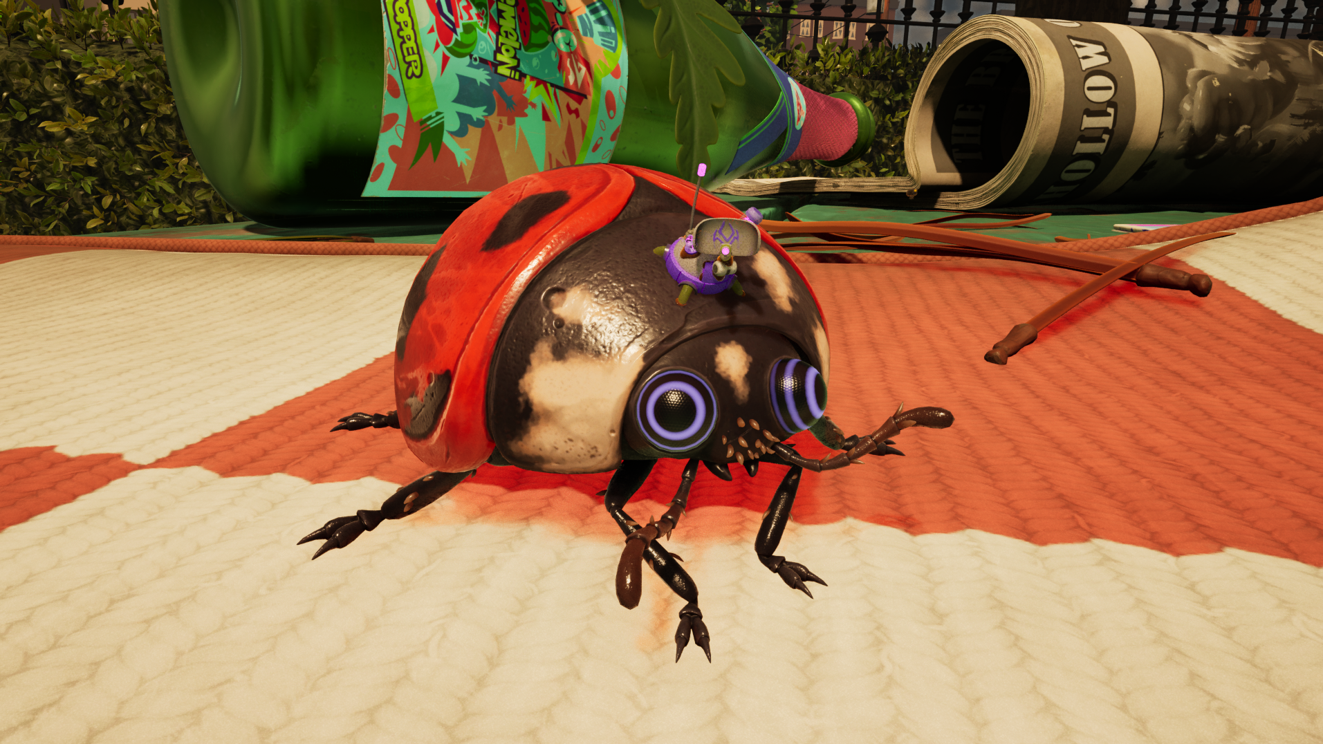 O.R.C. 瓢虫.png
