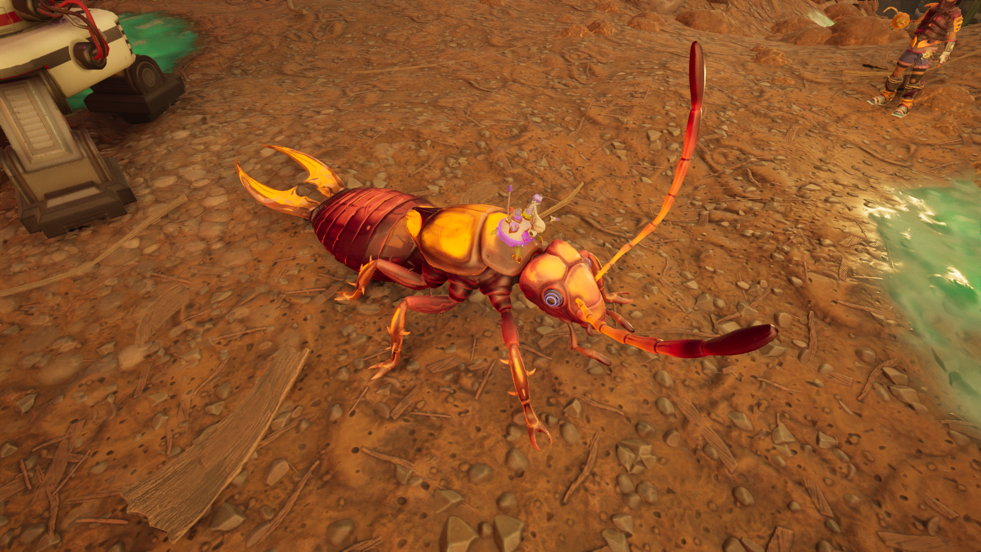 O.R.C. 夹钳蠼螋.png