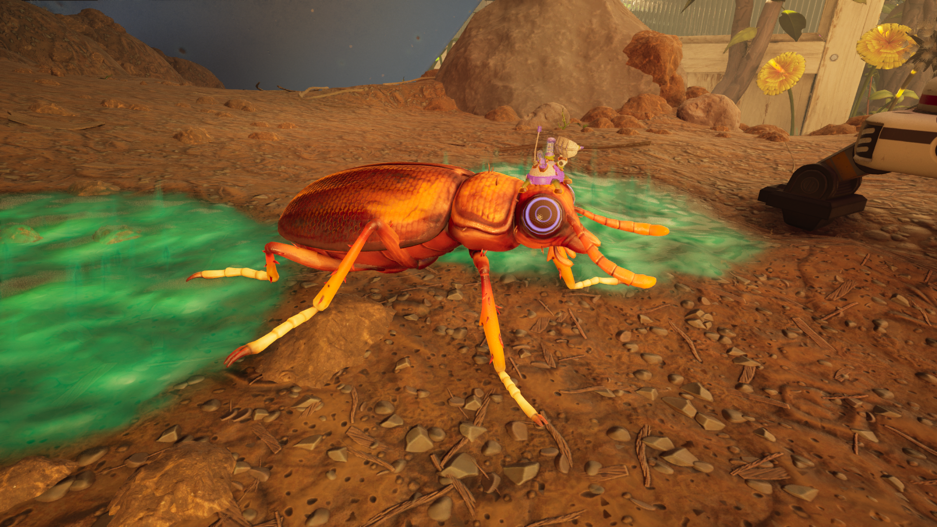 O.R.C. 赤拟谷盗.png