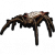 育母蜘蛛填充标本.png