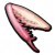 兰花螳螂爪.png