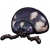 瓢虫头.png