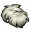 香蒲绒毛.png
