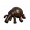 象鼻虫填充标本.png