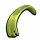 大叶藻条.png