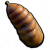 蛹皮.png