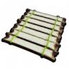 茎干地板.png