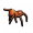 红工蚁填充标本.png