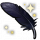 华丽矢羽.png