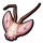 兰花螳螂头.png
