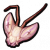 兰花螳螂头.png