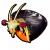 卤虫展板.png