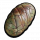 腐烂虫卵.png