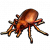 赤拟谷盗毛绒玩具.png
