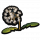 蒲公英.png