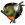 水蚤展板.png