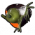 水蚤展板.png