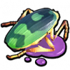 投弹甲虫部位.png