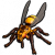 黄蜂填充标本.png