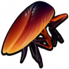蟑螂块.png