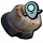 烤水蚤.png