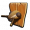 椿象展板.png