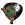 多刺水蚤展板.png