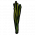 ICO Eelgrass A.png
