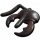 黑蚂蚁口器.png