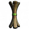 茎干支柱.png