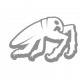 水行虫语.png