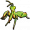 螳螂毛绒玩具.png