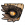 蜥蜴展板.png