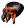潜水钟蛛展板.png