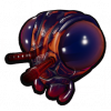 蟑螂头.png