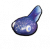 蝌蚪填充标本.png