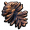 松果片.png