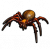 潜水钟蛛填充标本.png