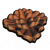 松果平屋顶.png