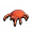 螨虫填充标本.png