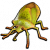 绿蝽填充标本.png